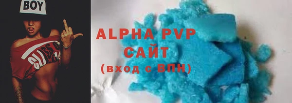 шишки Анива