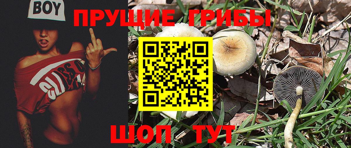 ЛЁД  Вход с VPN  COCAIN  Ляпка  Алушта  Меф  Конопля  СОЛЬ CK  Hash Oil 