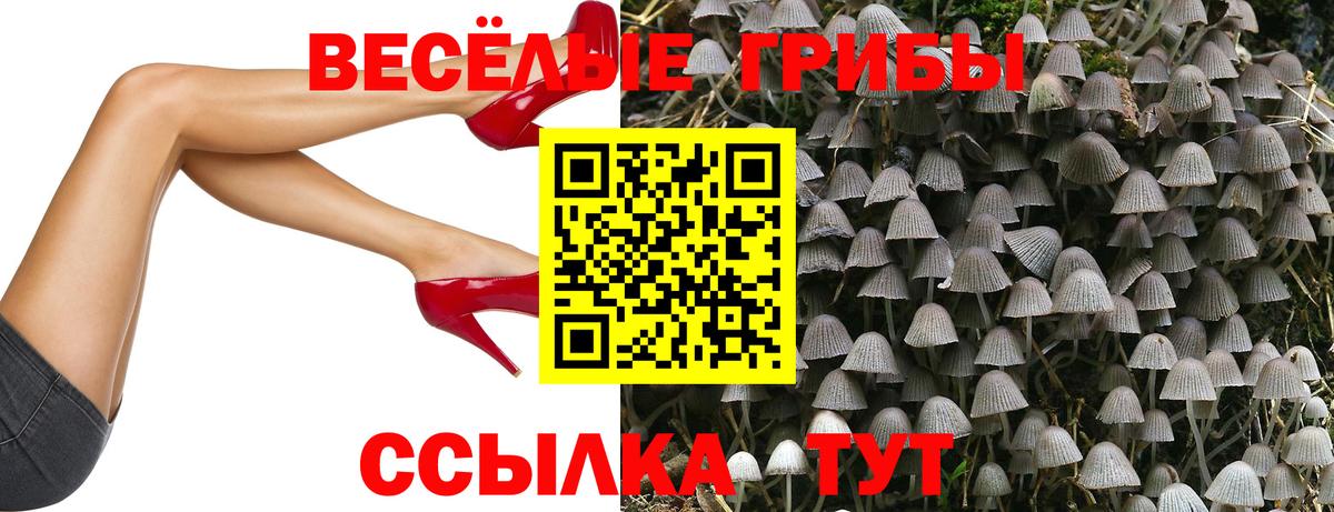 Галлюциногенные грибы прущие грибы  Галлюциногенные грибы прущие грибы  Алушта  Вход с VPN 